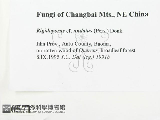 登錄號:F0006571藏品圖，第2張