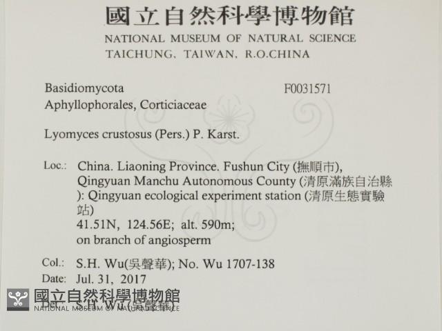 登錄號:F0031571藏品圖，第2張