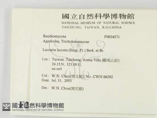 登錄號:F0024571藏品圖，第2張