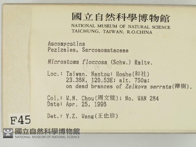 登錄號:F0004571藏品圖，第2張