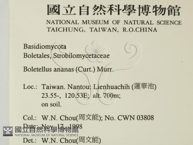 登錄號:F0012571藏品圖，第2張