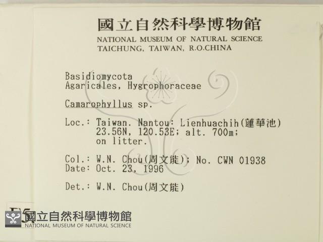 登錄號:F0005571藏品圖，第2張