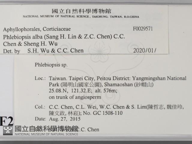 登錄號:F0029571藏品圖，第2張