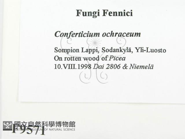 登錄號:F0009571藏品圖，第2張