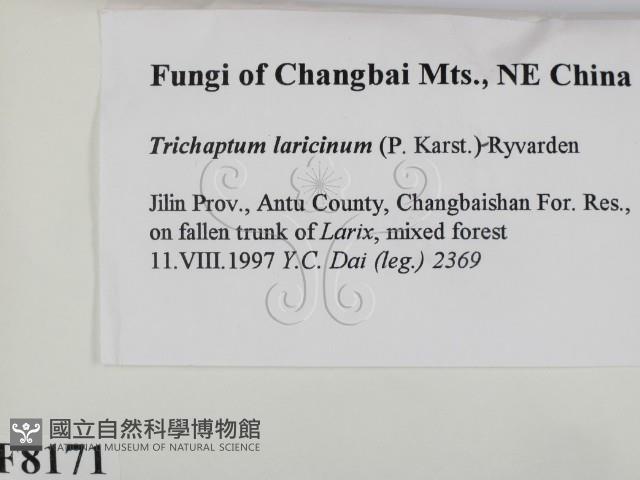 登錄號:F0008171藏品圖，第2張