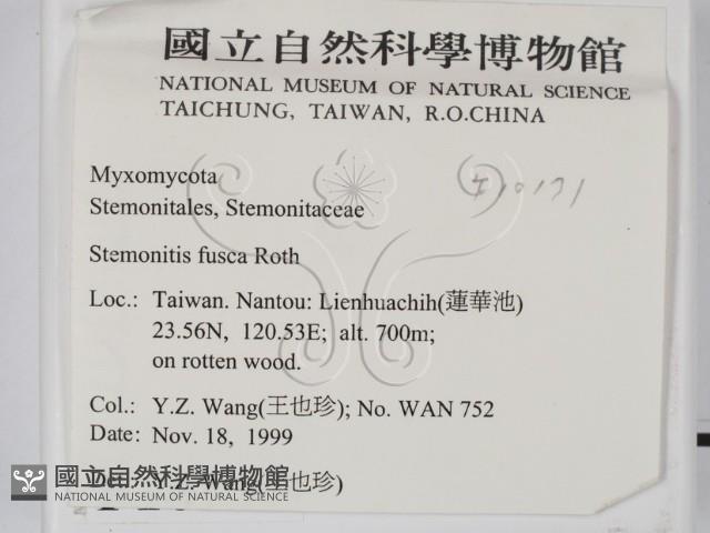 登錄號:F0010171藏品圖，第2張