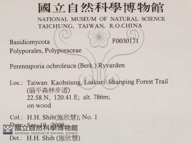 登錄號:F0030171藏品圖，第2張