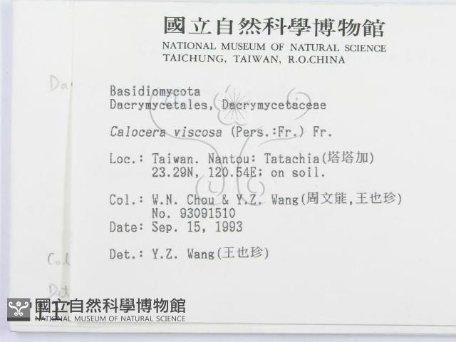 登錄號:F0001171藏品圖，第2張