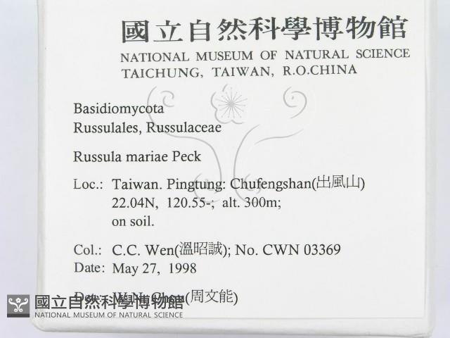 登錄號:F0011171藏品圖，第2張