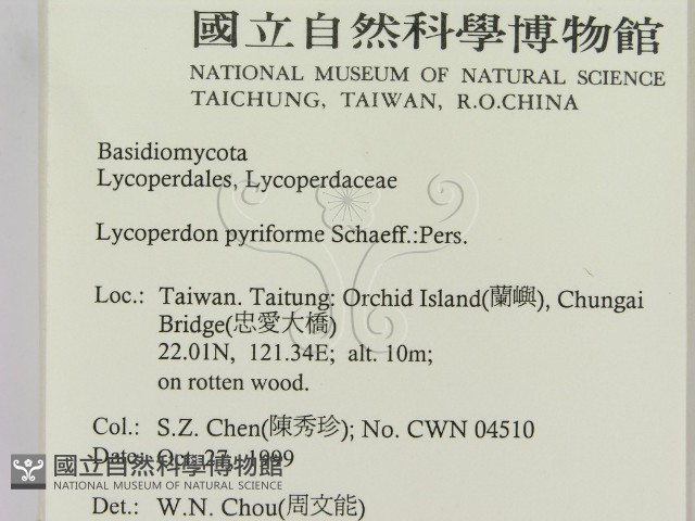 登錄號:F0014171藏品圖，第2張