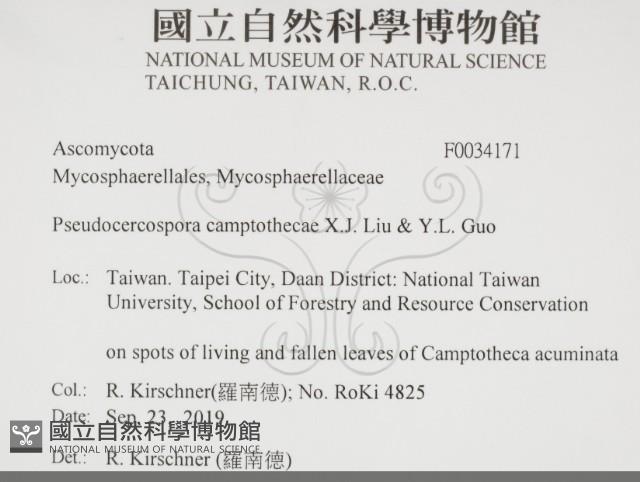 登錄號:F0034171藏品圖，第2張