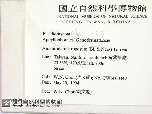 登錄號:F0002171藏品圖，第2張