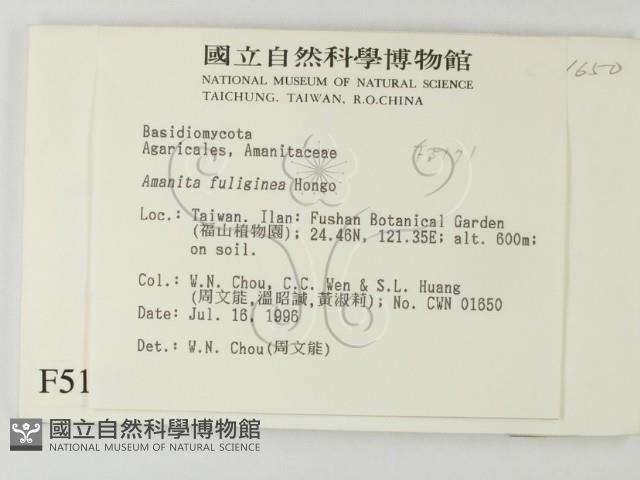 登錄號:F0005171藏品圖，第2張