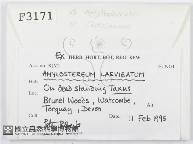 登錄號:F0003171藏品圖，第2張