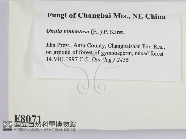 登錄號:F0008071藏品圖，第2張