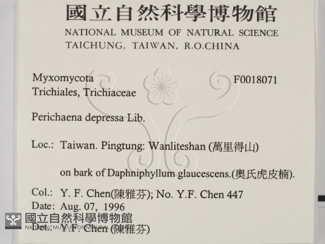 登錄號:F0018071藏品圖，第2張