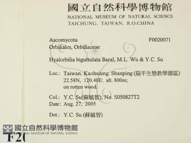 登錄號:F0020071藏品圖，第2張