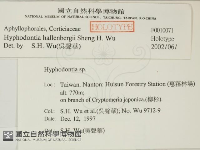 登錄號:F0010071藏品圖，第2張