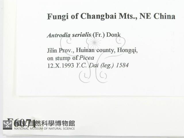 登錄號:F0006071藏品圖，第2張