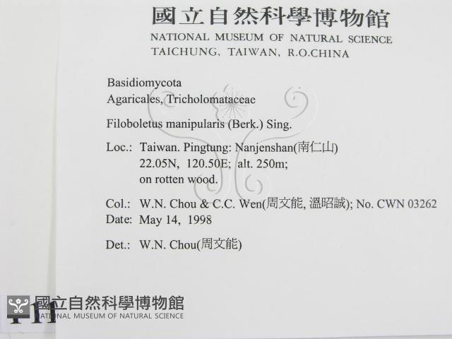 登錄號:F0011071藏品圖，第2張