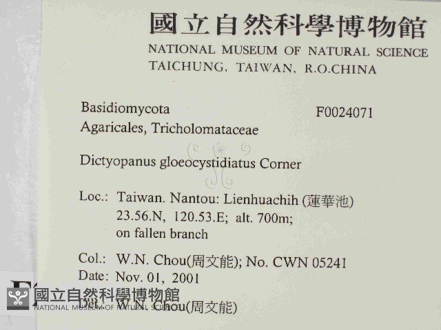 登錄號:F0024071藏品圖，第2張