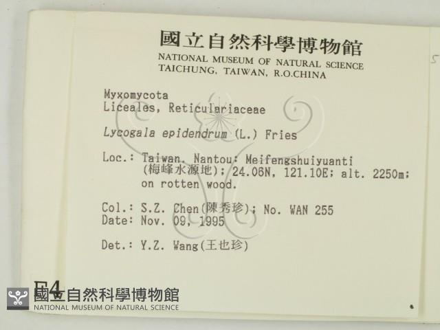 登錄號:F0004071藏品圖，第2張