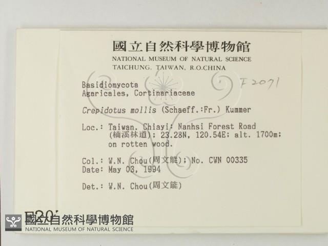 登錄號:F0002071藏品圖，第2張