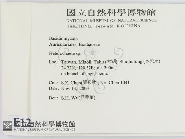 刺皮菌屬藏品圖，第2張