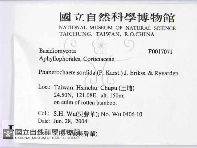 登錄號:F0017071藏品圖，第2張