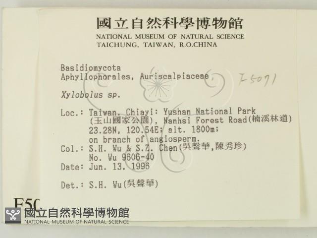 登錄號:F0005071藏品圖，第2張