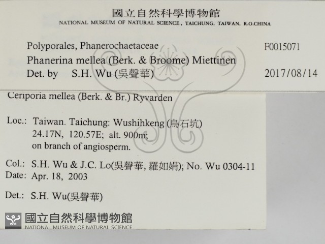登錄號:F0015071藏品圖，第2張