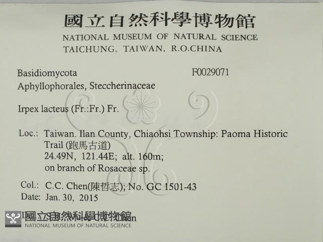 登錄號:F0029071藏品圖，第2張