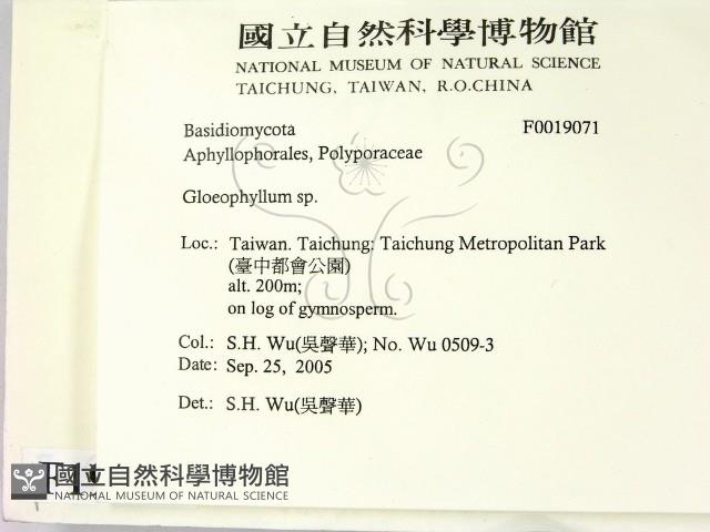 館號:F0019071藏品圖，第2張