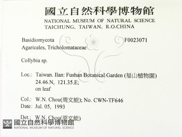 登錄號:F0023071藏品圖，第2張