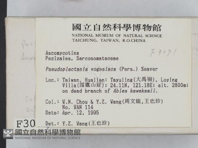 登錄號:F0003071藏品圖，第2張
