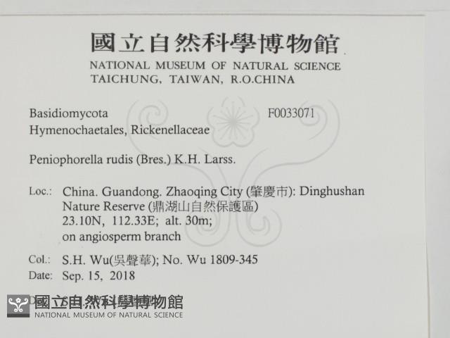 登錄號:F0033071藏品圖，第2張