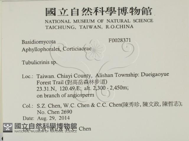 登錄號:F0028371藏品圖，第2張