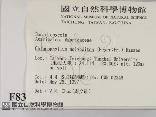 登錄號:F0008371藏品圖，第2張