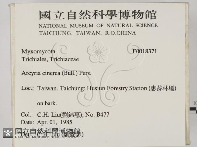 登錄號:F0018371藏品圖，第2張