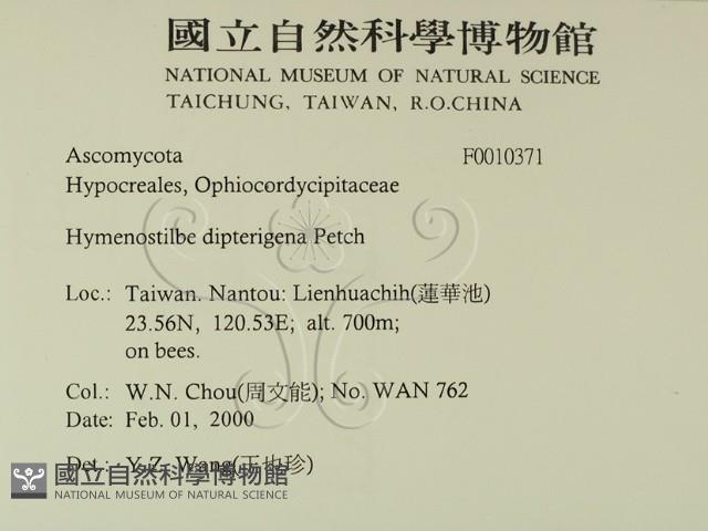 登錄號:F0010371藏品圖，第2張