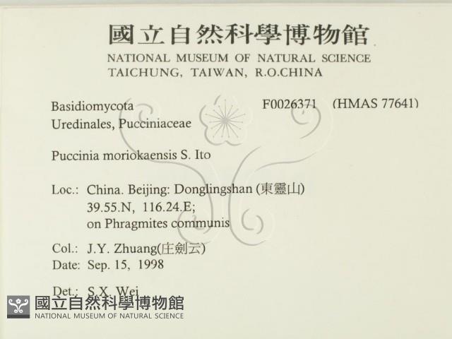 登錄號:F0026371藏品圖，第2張
