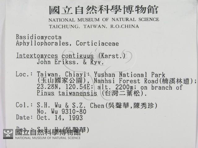 登錄號:F0001371藏品圖，第2張