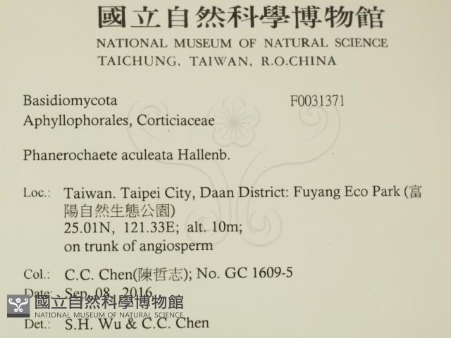 登錄號:F0031371藏品圖，第2張