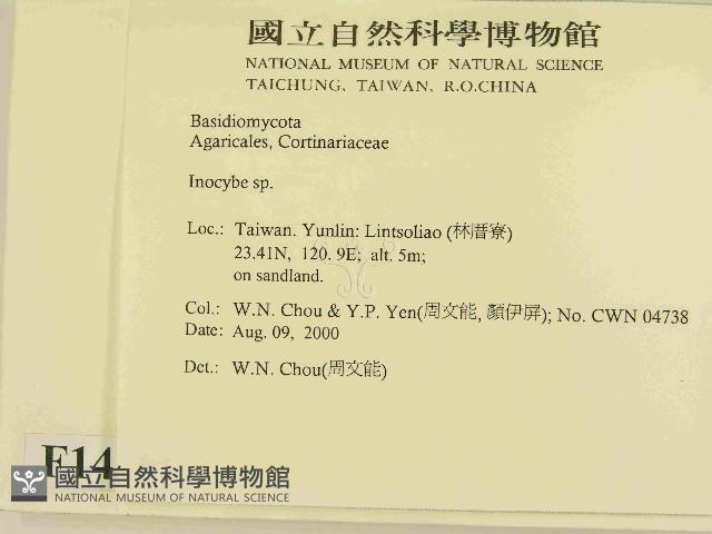 登錄號:F0014371藏品圖，第2張