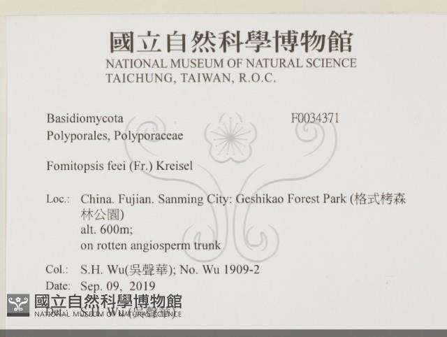 登錄號:F0034371藏品圖，第2張