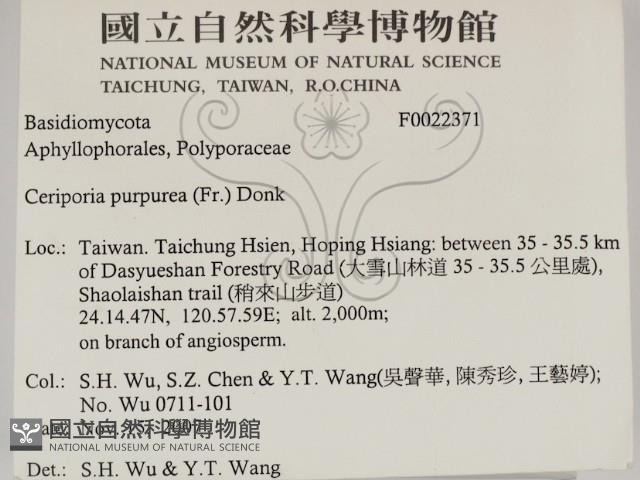 登錄號:F0022371藏品圖，第2張