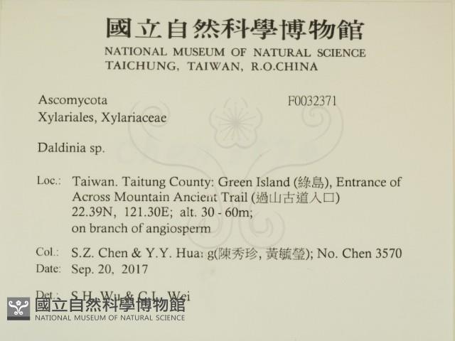 登錄號:F0032371藏品圖，第2張