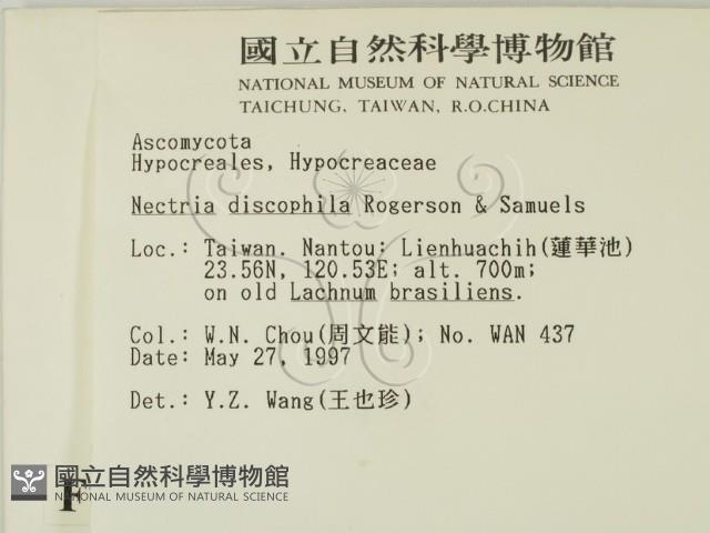 登錄號:F0007371藏品圖，第2張