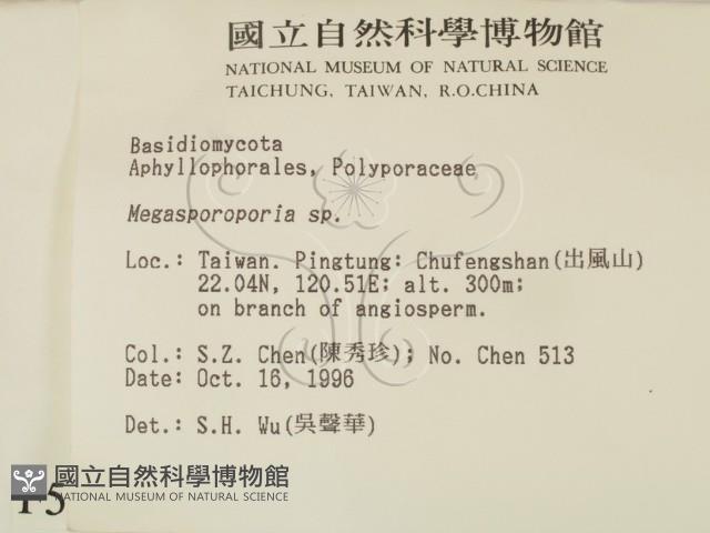 登錄號:F0005371藏品圖，第2張