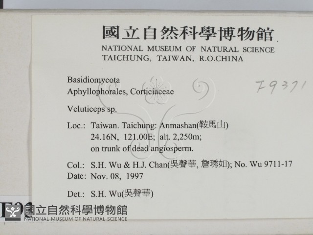 登錄號:F0009371藏品圖，第2張